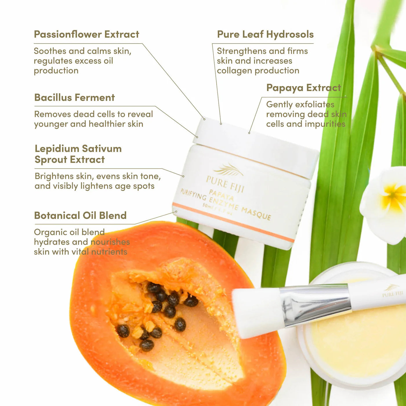 Pure Fiji Papaya Purifying Enzyme Masque